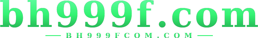 bh999f.com logo